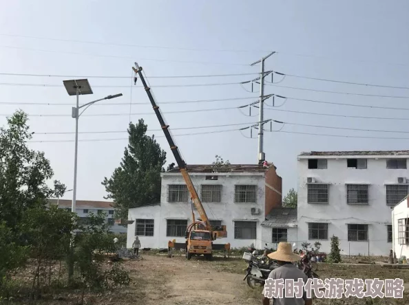 2025地下城与勇士新春神宠物选择爆料与分析