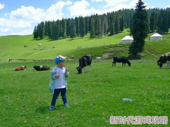 DNF钢铁之臂副本：揭秘哪项属性成为通关最低门槛，内部爆料解析！