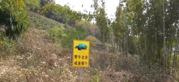 《怪物猎人 荒野》集中模式：精准打击与高效狩猎效果全爆料