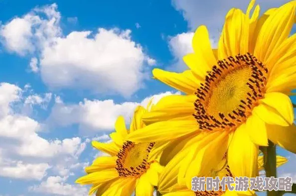 《荒野大镖客 救赎》高爆大师成就全揭秘：独家爆料与高效攻略指南