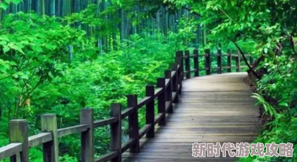 桃源深处有人家竹林解锁全攻略：16级开启探险新篇章