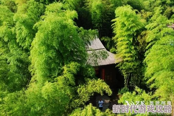 桃源深处有人家竹林解锁全攻略：16级开启探险新篇章