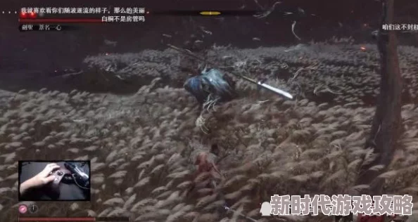 《只狼：影逝二度》爆料！解锁不死斩秘籍，挑战三猿猴迷宫，揭秘仙峰寺终极隐藏武器