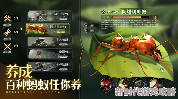 揭秘蚂蚁帝国配置需求：高规格硬件爆料，打造极致游戏体验