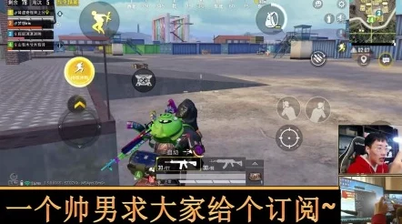 和平精英新皮肤爆料：潮玩酷熊系列图片鉴赏及细节抢先看