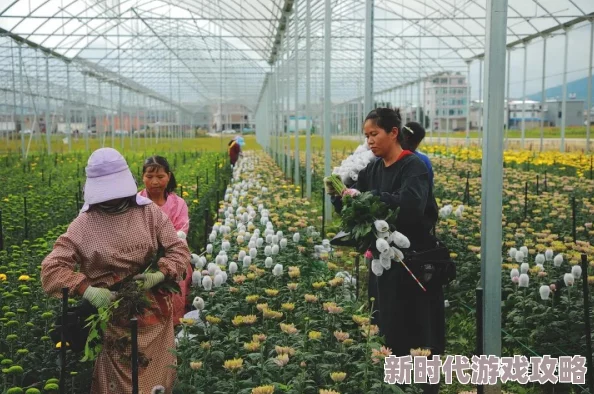 DNF2011金秋重磅爆料：国庆祥云套装外观细节全解析