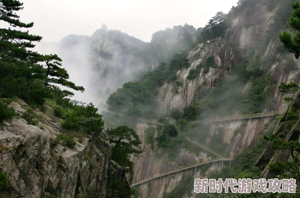 原始传奇节日活动大揭秘：哪个节日活动福利更优更精彩？
