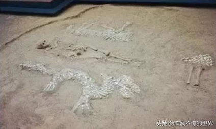 “山海经传说手游：揭秘最佳职业选择，关键在于个人风格与团队协作”