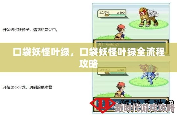 口袋妖怪叶绿终极揭秘：高效刷钱秘籍与不为人知的赚钱技巧大公开