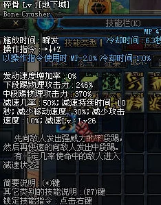 DNF武极下装选择指南：钢铁/机械下装成顶级爆料之选