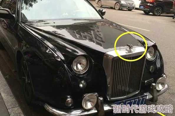 独家爆料：宾利车主创意改车标为熊猫，遭遇交警检查当场懵圈