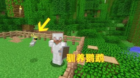 【独家爆料】我的世界：驯服鹦鹉秘籍，揭秘如何让鹦鹉乖乖站在你肩膀上！