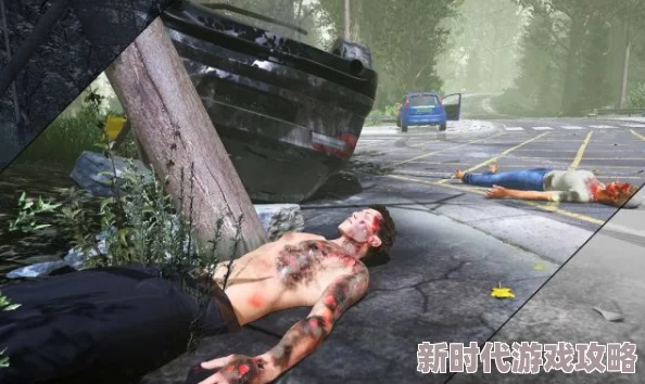 胖熊片2025全新VR体验身临其境感受毛茸茸的拥抱