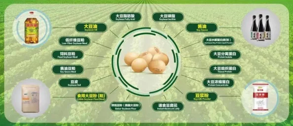 2025年热门视角：欺诈之地Griftlands有意思吗？深度游玩心得与测评分享