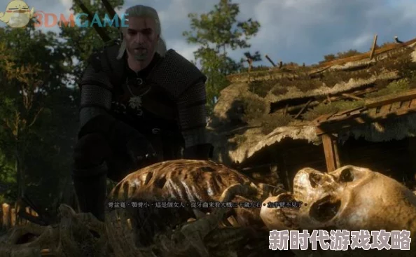 2025年《巫师3:狂猎》支线任务井里恶魔最新高效打法与装备推荐