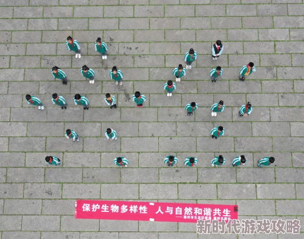 2025永恒水瓶任务接取地点与最新方法详解