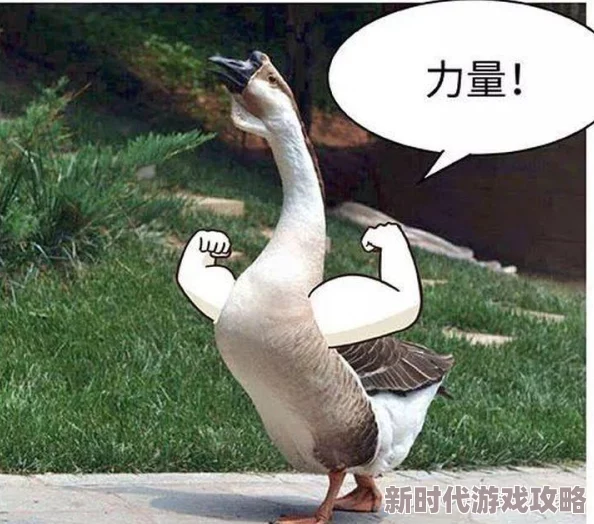 2025年热门游戏攻略：《巫师3:狂猎》野性之心任务最新做法详解与技巧指南