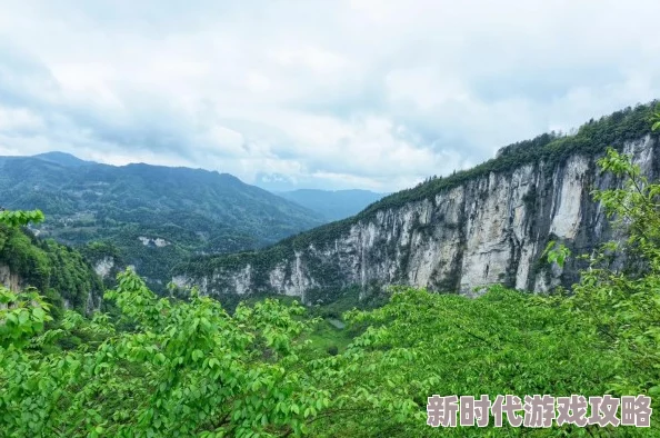 2025年热门探险地揭秘：探寻神秘森林天坑的确切位置与奇观