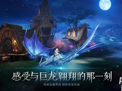 2025年热门游戏封龙战纪：驯龙高手玩法全解析，探索龙的多样形态与进化之路