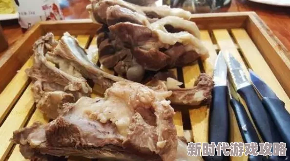 2025年热门生态探索:不休的乌拉拉海象偏爱的食物揭秘与保护新进展 2025年热门生态探索:不休的乌拉拉海象偏爱的食物揭秘与保护新进展