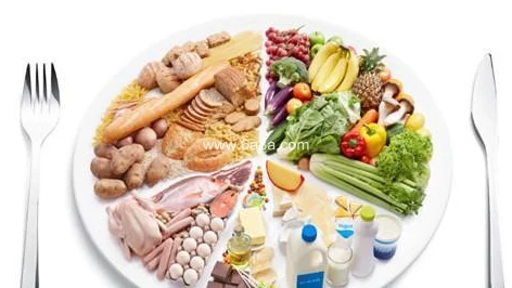 2025年热门生态探索:不休的乌拉拉海象偏爱的食物揭秘与保护新进展 2025年热门生态探索:不休的乌拉拉海象偏爱的食物揭秘与保护新进展
