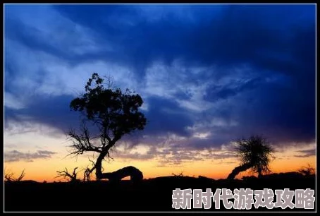 2025年梦境侦探游戏中高效寻找神秘神明的方法揭秘